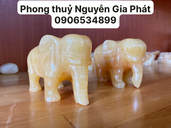 Cặp voi hoàng long